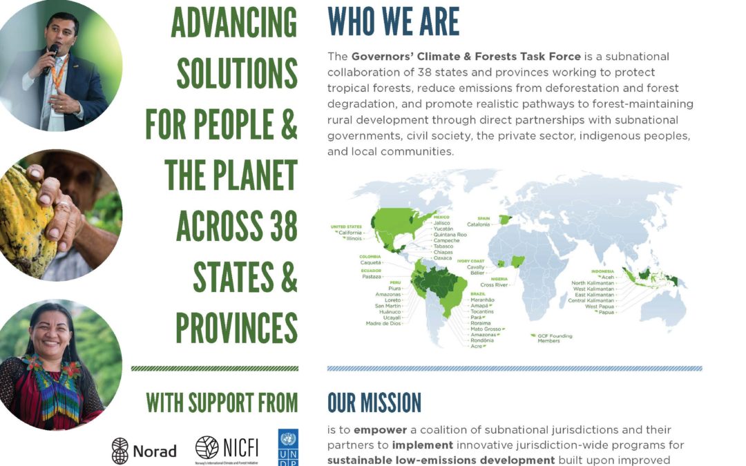 GCF Task Force One-Page Overview