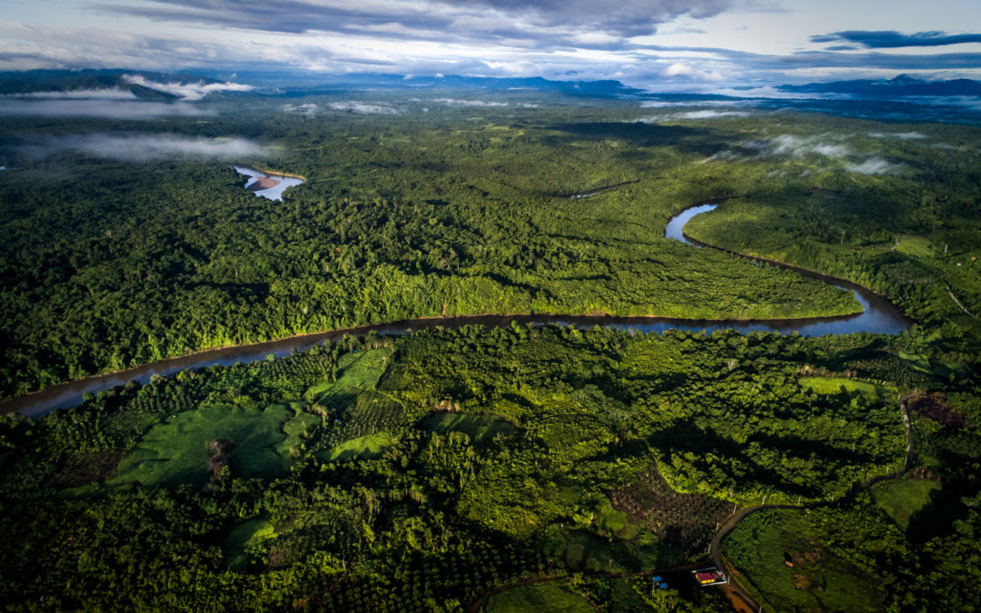 Indonesian provinces to develop plans to distribute benefits from reducing deforestation