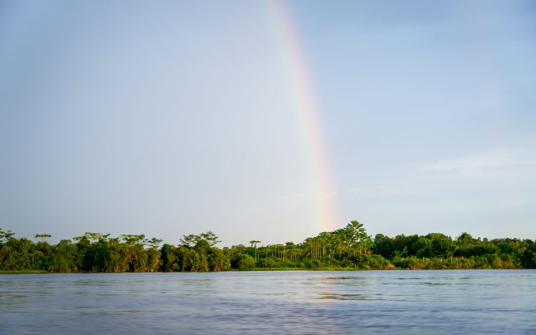 Indonesian Provinces Craft NDC Roadmap to Reduce Emissions from the Forest and Land Use Sectors