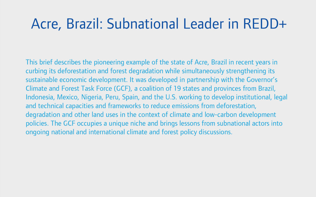 Acre, Brazil: Subnational Leader in REDD+