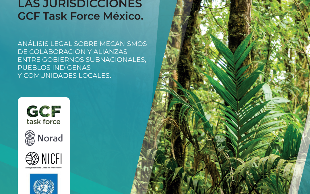 Directions and recommendations to facilitate the implementation of the Guiding Principles in GCF Task Force jurisdictions in Mexico