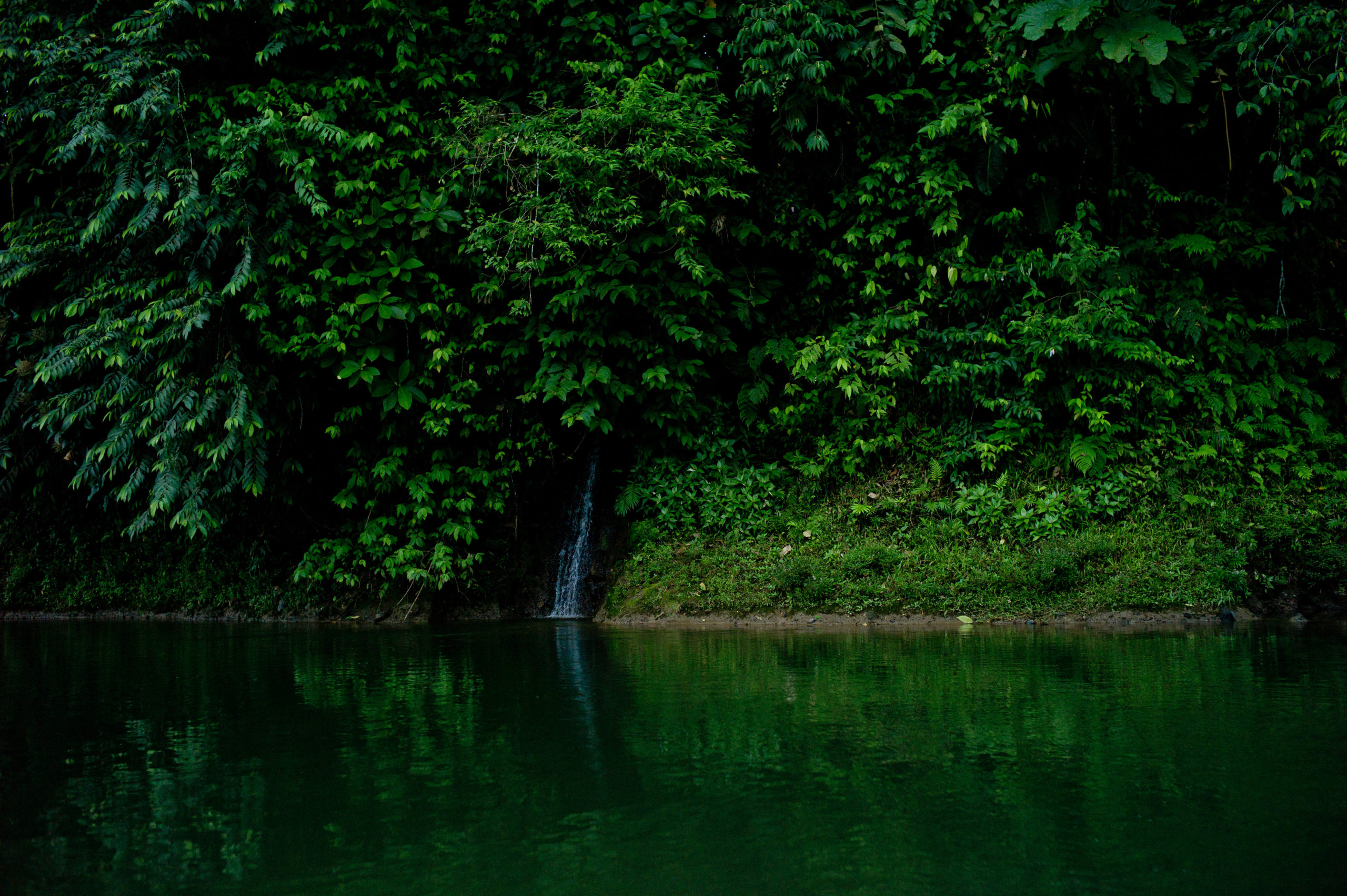 Puni River in Ecuador