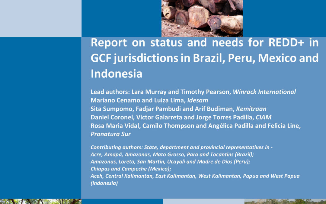 Report on status and needs for REDD+