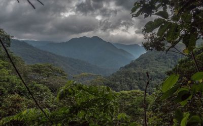 Acuerdo Público Privado “Producir Conservando y Conservar Produciendo” en Ucayali