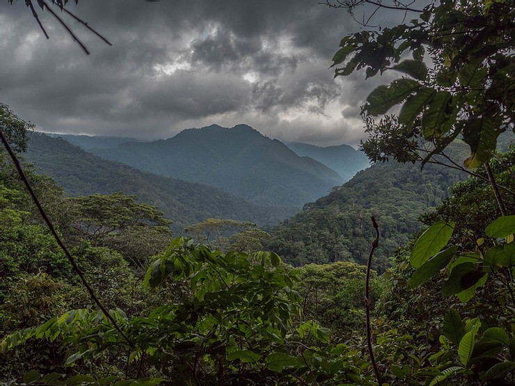 Acuerdo Público Privado “Producir Conservando y Conservar Produciendo” en Ucayali