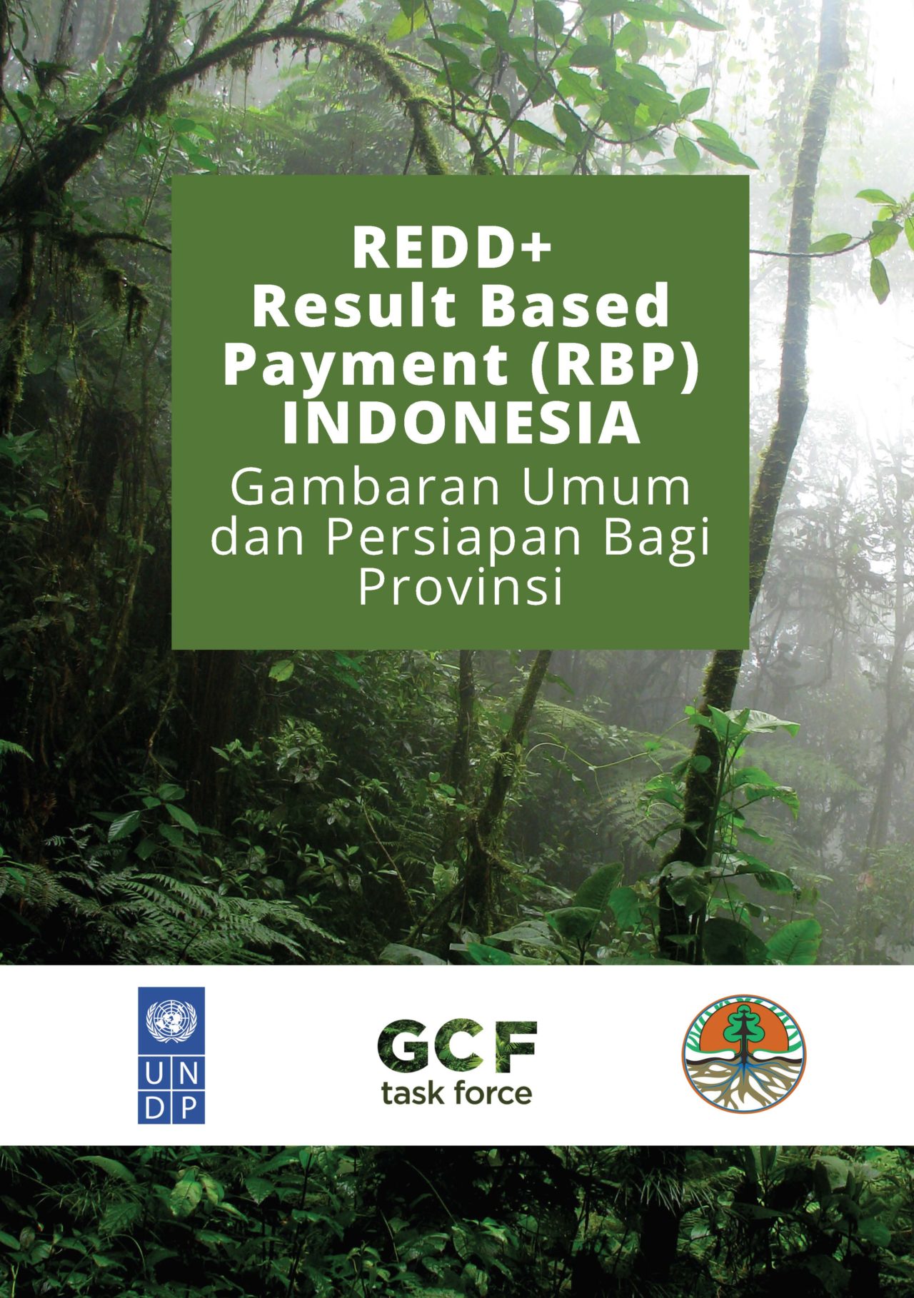 Redd Results Based Payments Indonesia Gcf Task Force