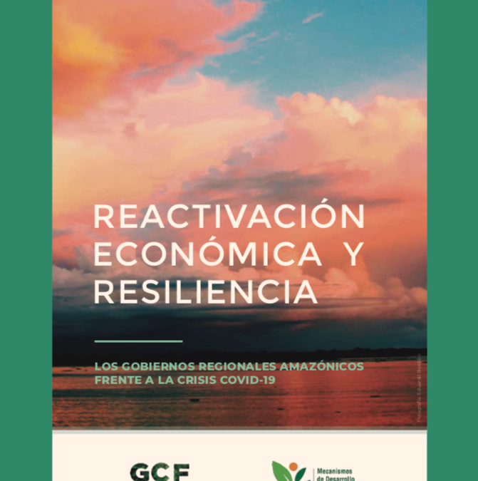 Economic Reactivation and Resilience: Governors of the Peruvian Amazon Region Against the COVID-19 Crisis