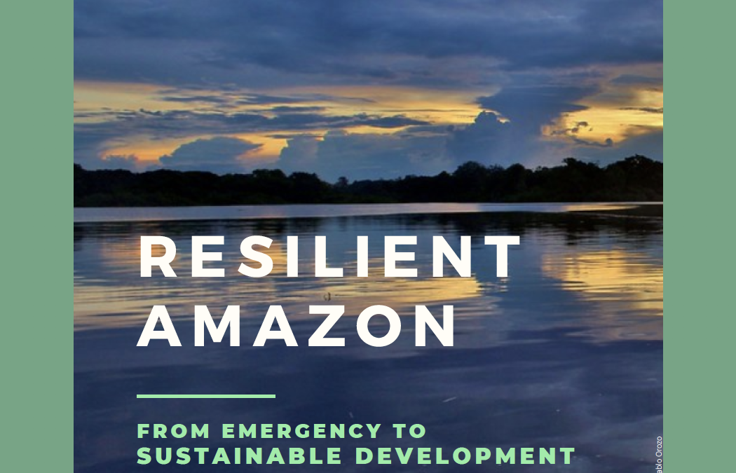 Resilient Amazon: from emergency to sustainable development