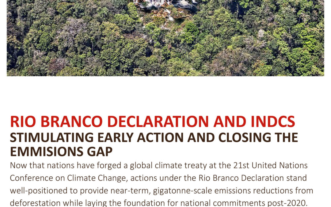 Rio Branco Declaration and INDCS