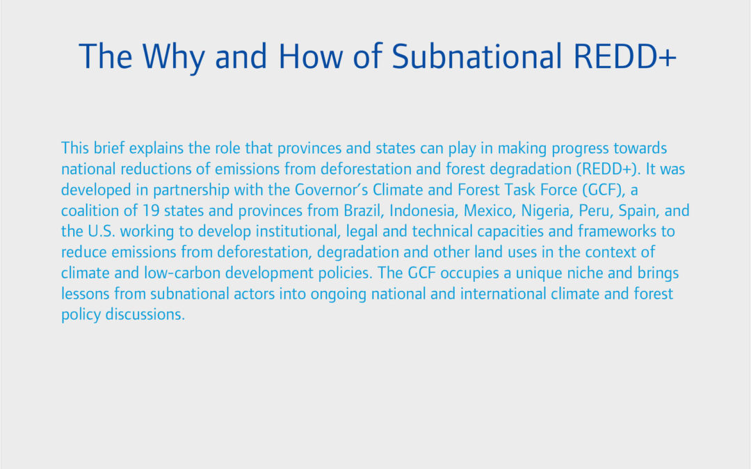 The Why and How of Subnational REDD+