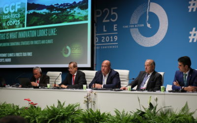 Unity at COP25: Working Together to Advance Subnational Climate Action