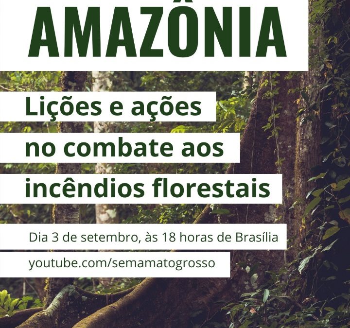 Dialogues for the Amazon: Brazilian Environmental Secretaries on the Fight Against Forest Fires