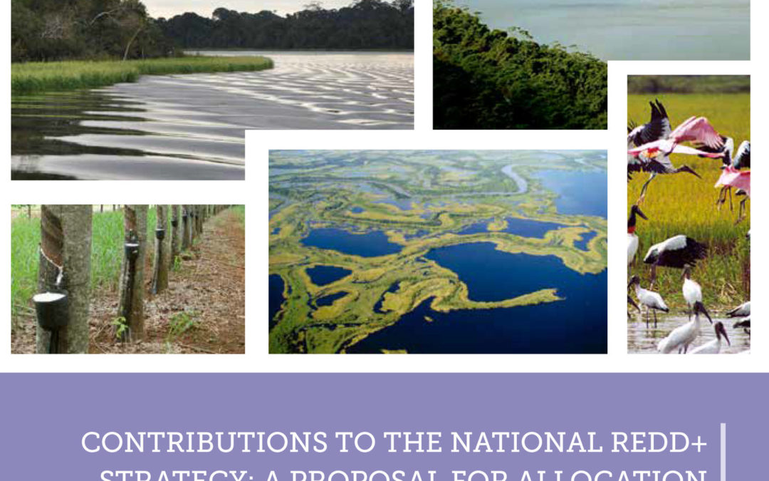 Contributions to the National REDD+ Strategy