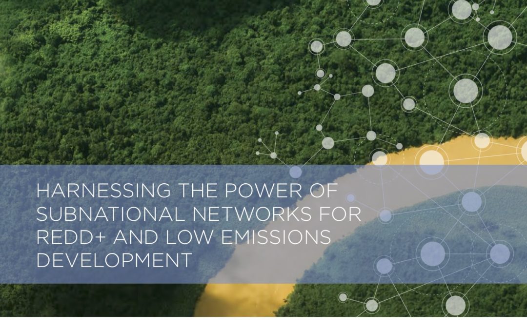 Harnessing the Power of Subnational Networks for REDD+ and Low Emissions Development
