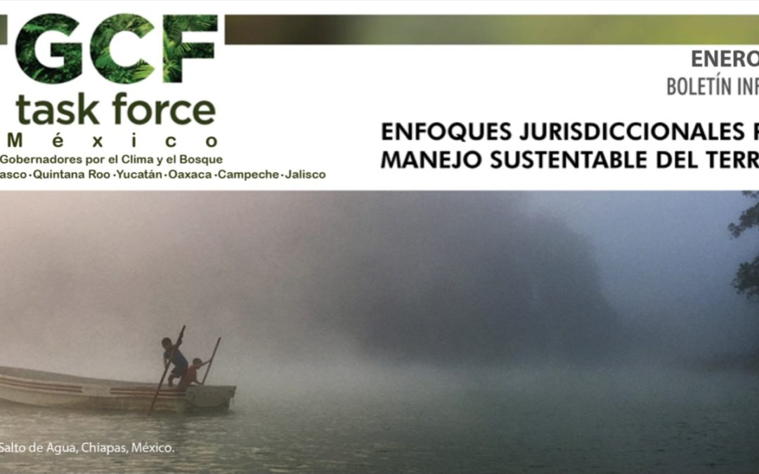 Updates from GCFTF Mexico