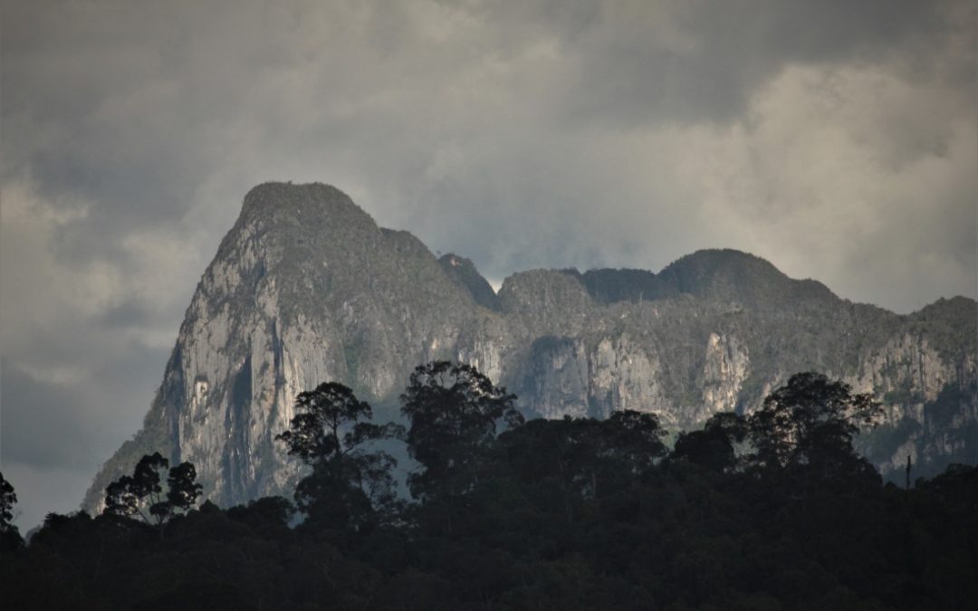 Reversing trends in deforestation in East Kalimantan, Indonesia