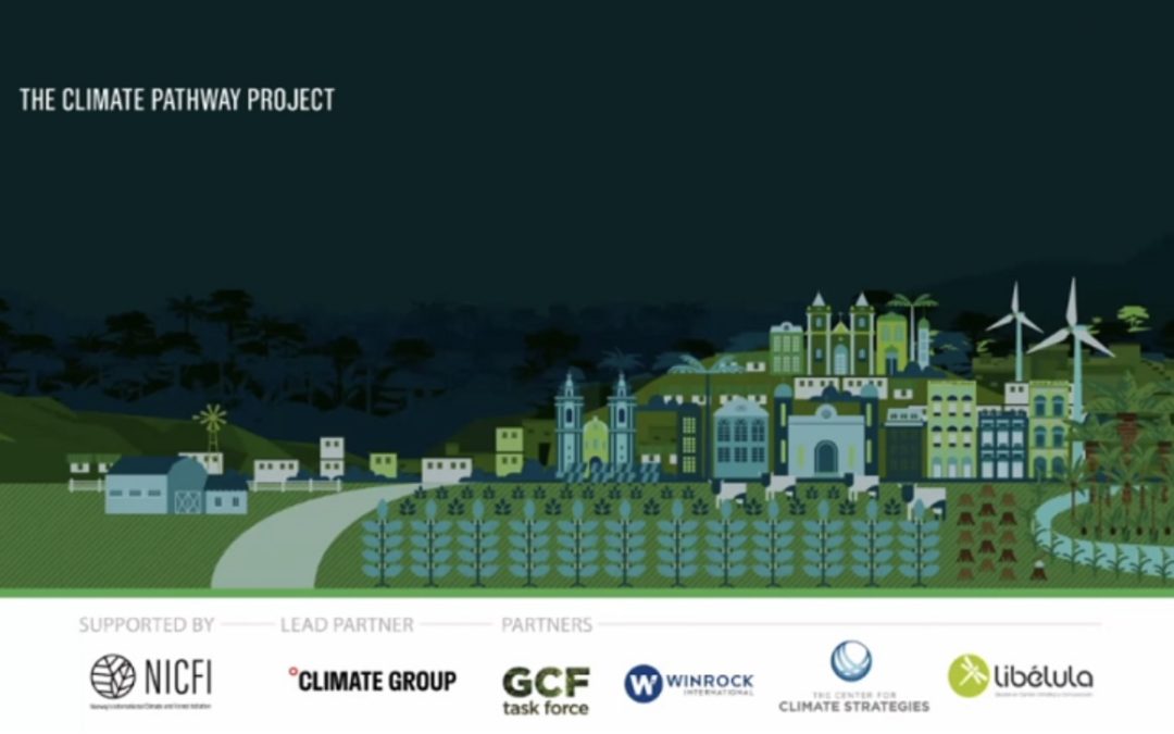Presentación de Resultados Finales del Proyecto Trayectorias de Descarbonización en Madre de Dios, Perú
