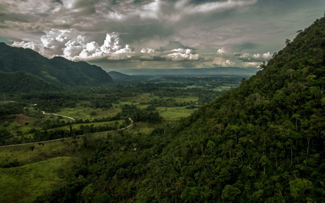 GCF Task Force and TFA signed an agreement for coordinated actions to protect tropical forest landscapes