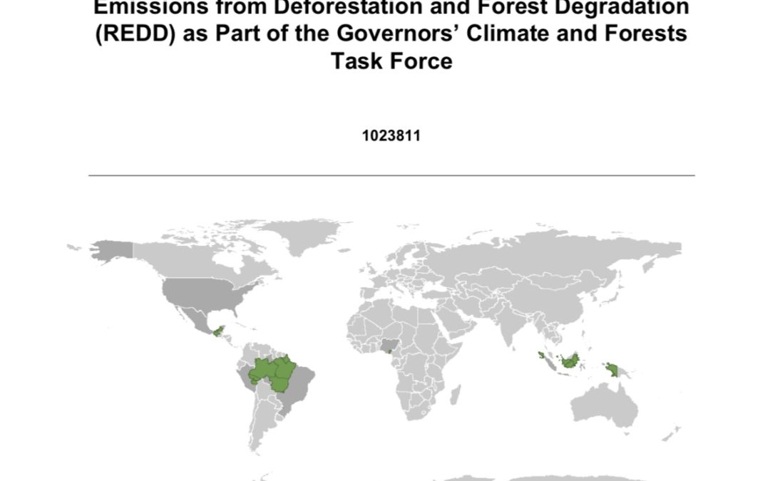 Overview of Subnational REDD+ Programs