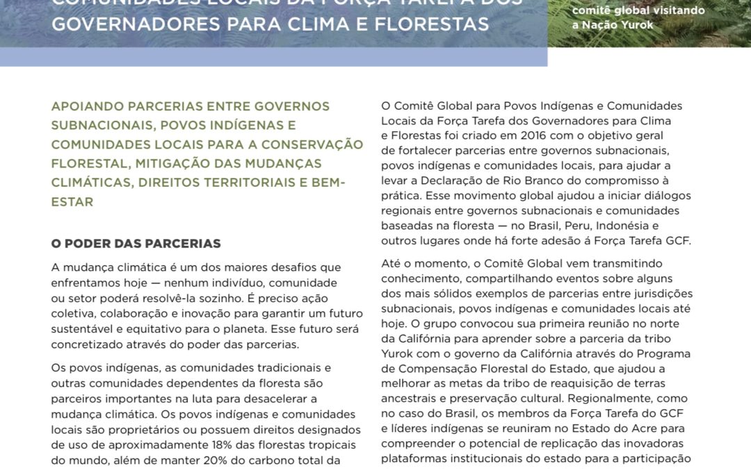 O Comitê Global Para Povos IndÃgenas e Comunidades Locais Visão Global