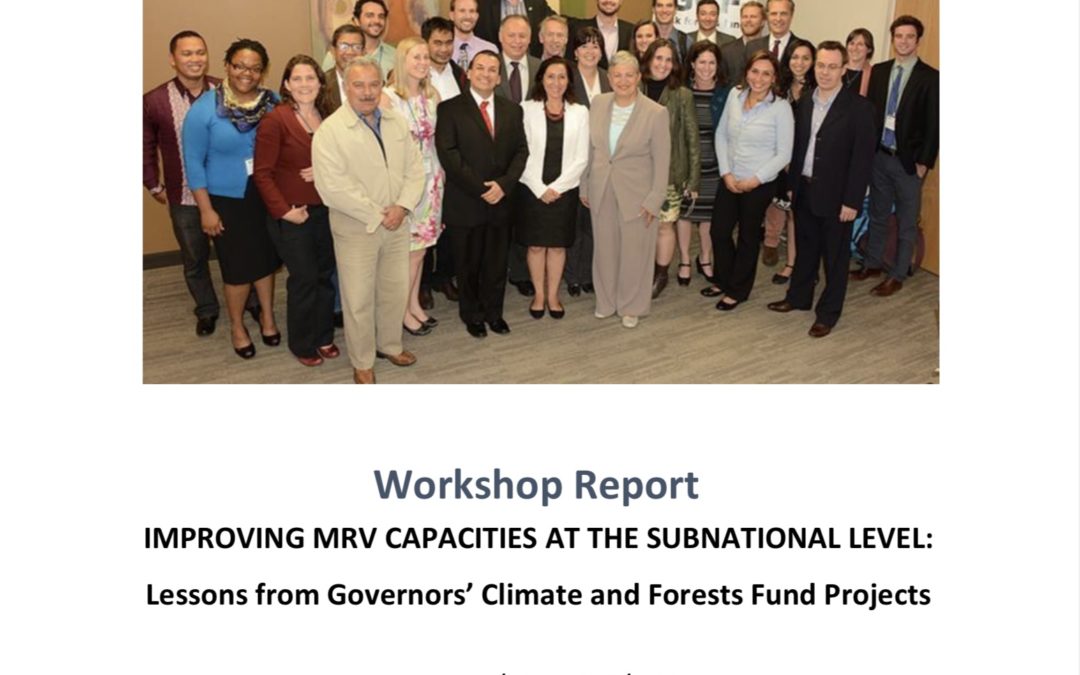 April MRV Workshop Report