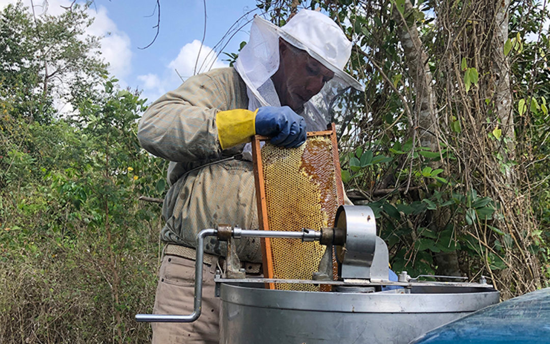 GCF Task Force Mexico y Reino Unido uniendo esfuerzos por la acción climática