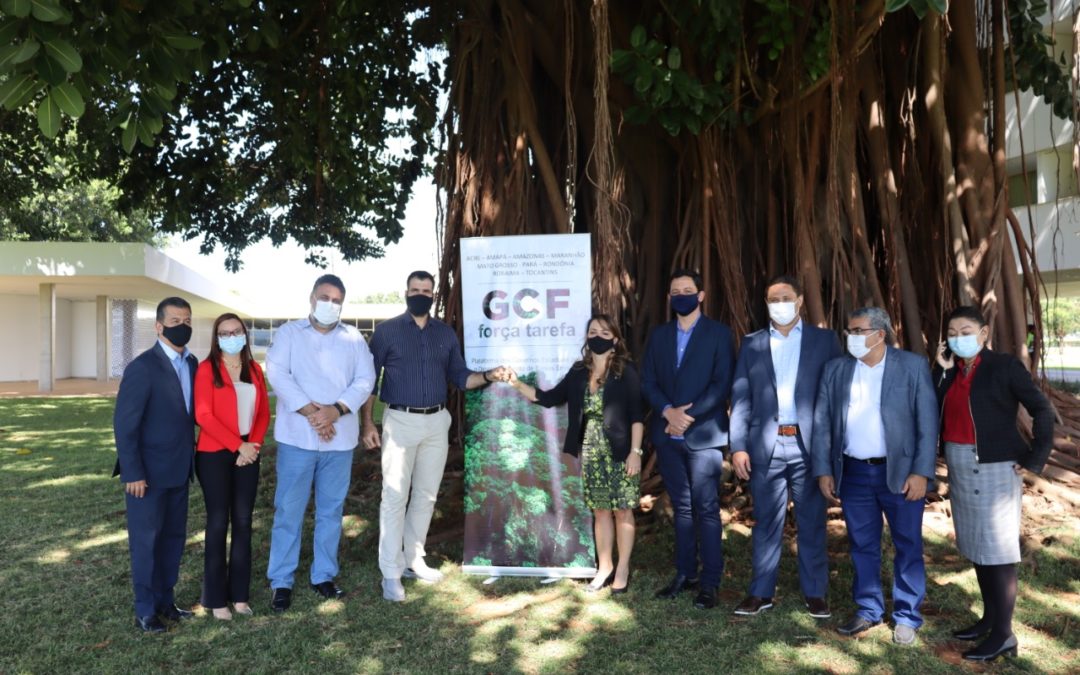Nota Informativa – GCF Task Force Brasil