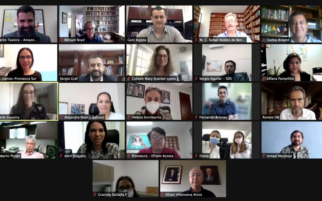 Manaus Action Plan Meetings
