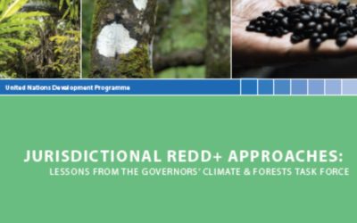 Lessons from the Governors’ Climate & Forests Task Force