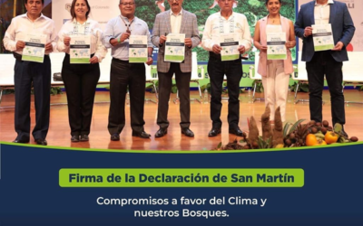 San Martin Declaration Signed in Peru to Promote a Sustainable Agenda for Forests, Climate, and the Amazon