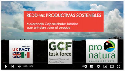 Mexico: Enhancing Local Capacities that bring value to the forest