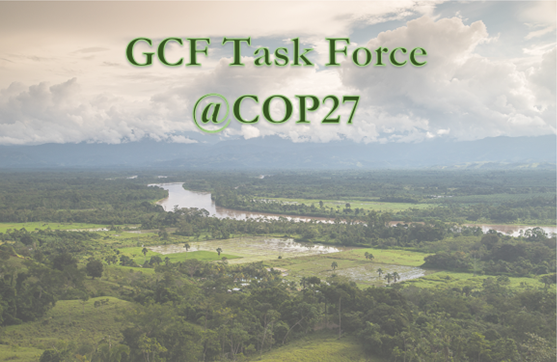 GCF Task Force Agenda at COP27