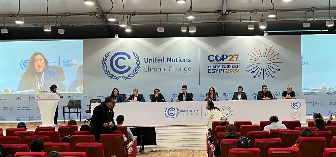 Subnational Solutions to Deforestation on Display at COP27: A recap of Sharm el-Sheikh from the Governors’ Climate and Forests Task Force