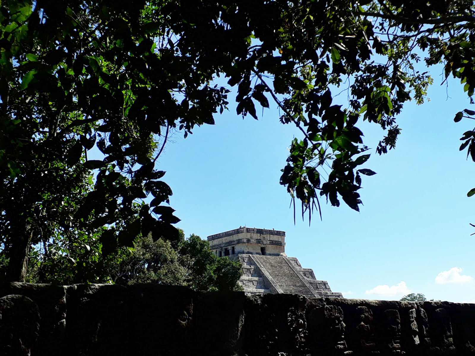 Background image from Divi section