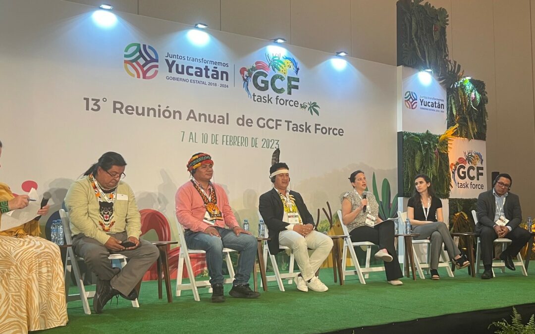 Major NGOs Unveil Updated Guidance for Companies Navigating Tropical Forest Carbon Credit Market