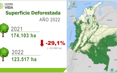 Colombian Government Announces 29.1% Reduction in Deforestation