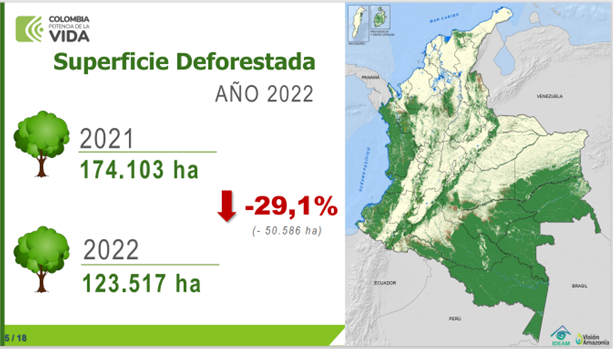 Colombian Government Announces 29.1% Reduction in Deforestation