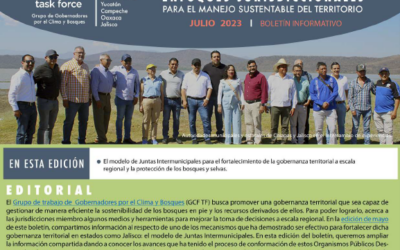 Strengthening Intermunicipal Boards for Territorial Governance in Chiapas