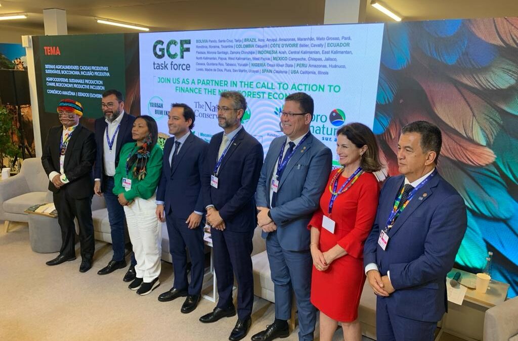 Governors from Around the World Call for $1 Billion Investment at COP28 to Fund the ‘New Forest Economy’