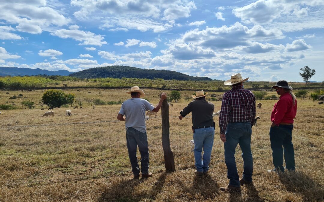 Collaboration and Knowledge Sharing in Jalisco and Oaxaca