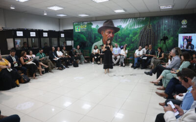 Science Panel for the Amazon Partners with Governors’ Climate and Forests Task Force