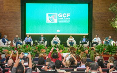 GCF Task Force Meets to Build a New Forest Economy to Protect Standing Forests and Communities and Build Momentum to COP30