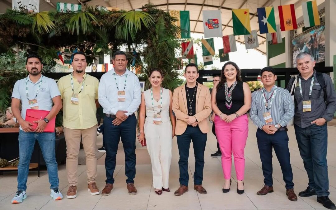 The Amazon Platform Advances in the GCF Task Force
