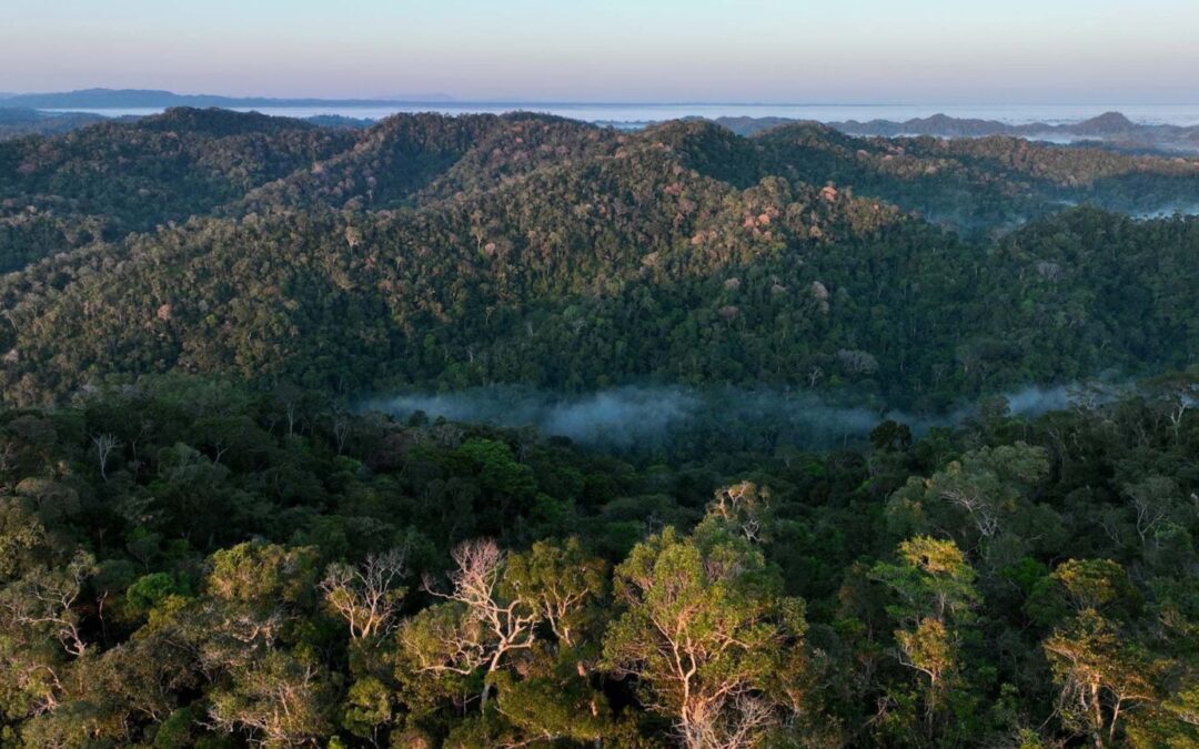 Historic Agreement for Jurisdictional REDD+ Program in Acre, Brazil