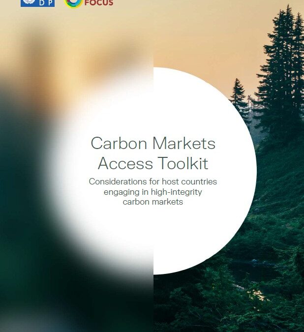 Carbon Markets Access Toolkit for Governments