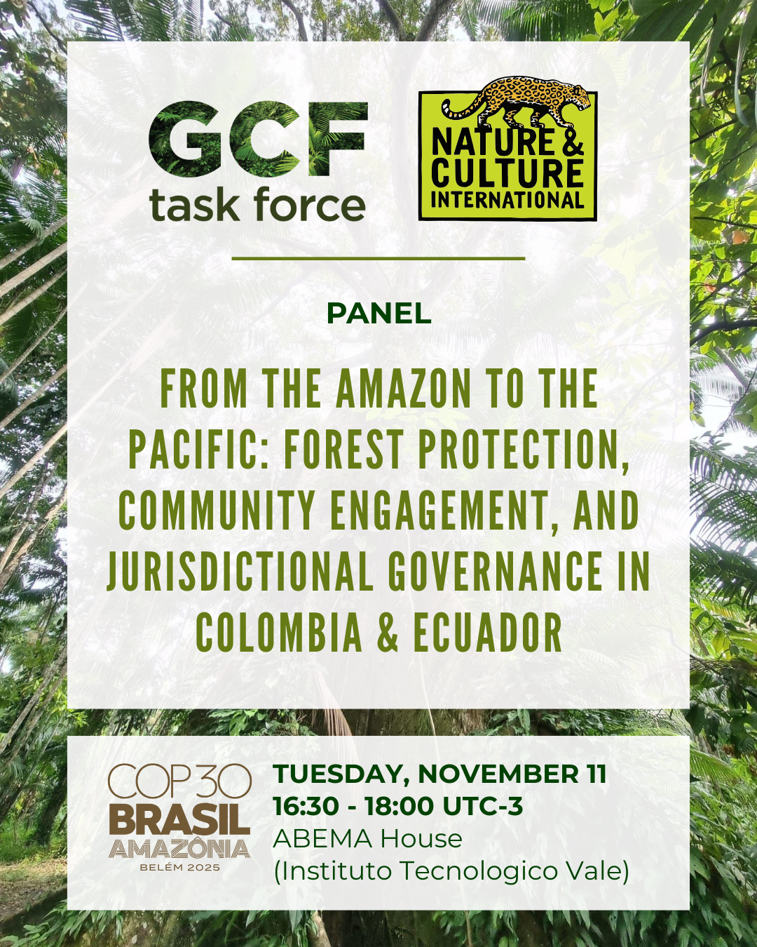 GCF Task Force panel at COP30 info
