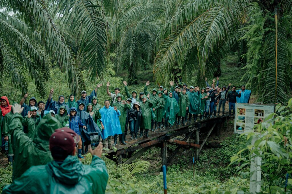 group of people in rain ponchos on a boardwalk in a tropical forest