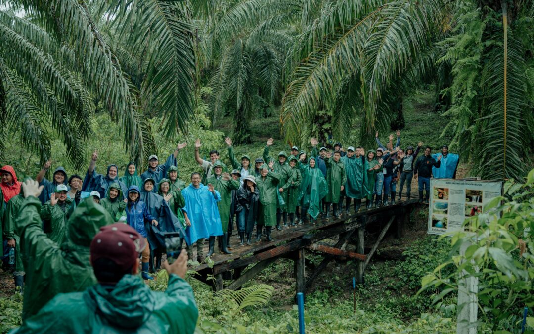 First MIPA Technical Meeting