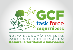 16th Annual Meeting — Caquetá, Colombia — 2026