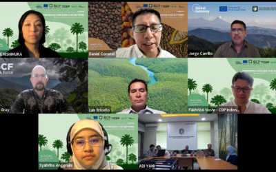 Preparing for EUDR and Beyond: Perspectives from Indonesia and Peru